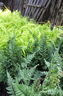 Perennials & Annuals - Stonegate Gardens | Nursery, landscape design