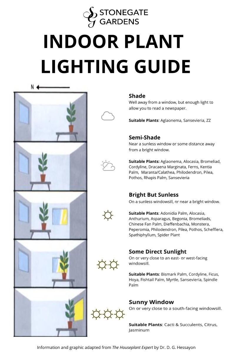 Световод для комнатных растений