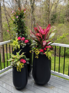 Stonegate Gardens | Nursery, Landscape Design and Gift Shop in Lincoln, Massachusetts