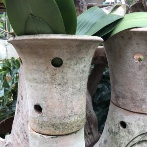 Aged Orchid Planters from the Stonegate Gardens Campo de’ Fiori Collection