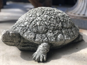 Turtle from Campania International